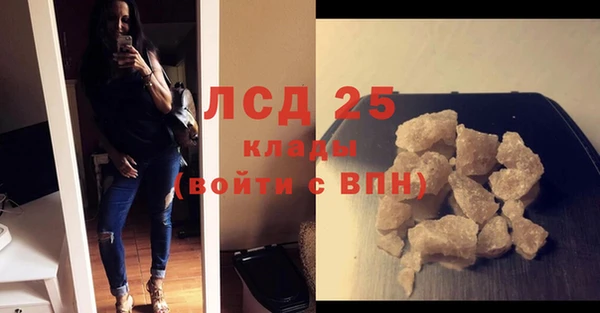 ГАЛЛЮЦИНОГЕННЫЕ ГРИБЫ Алексин