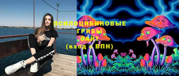 первитин Алексеевка