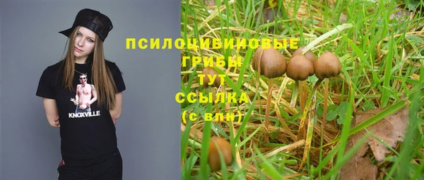 ГАЛЛЮЦИНОГЕННЫЕ ГРИБЫ Алексин