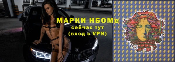 ГАЛЛЮЦИНОГЕННЫЕ ГРИБЫ Алексин