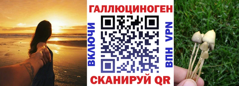 Псилоцибиновые грибы MAGIC MUSHROOMS  Адыгейск 